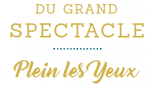 Illustration décorative du grand spectacle au Puy du Fou