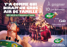 Gagnez vos billets gratuits pour le Noël Gaulois du Parc Astérix