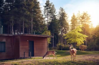 Meilleur domaine Center Parcs