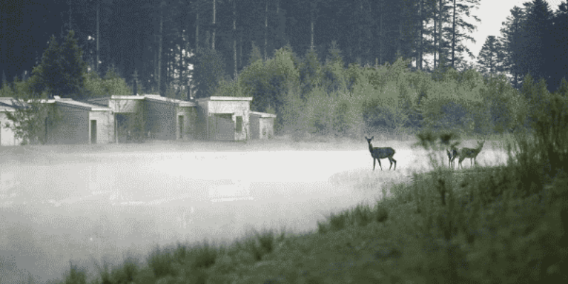 La meilleure période de l’année pour partir à Center Parcs ?