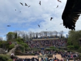 Puy du Fou : quel est le meilleur spectacle pour les visiteurs ?