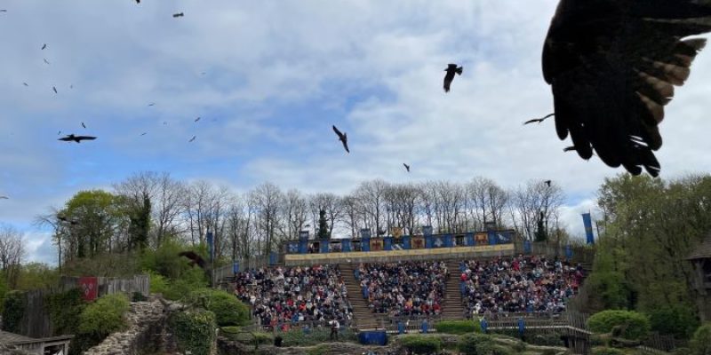 Quel est le meilleur spectacle du Puy du Fou selon les visiteurs ?